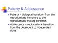 Puberty