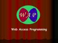 Web Access Programming