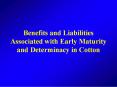 Benefits and Liabilities Associated with Early Maturity and Determinacy in Cotton