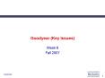 Goodyear Key Issues