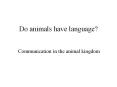 Do animals have language