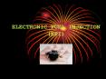 ELECTRONIC FUEL INJECTION EFI