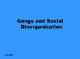 Gangs and Social Disorganization