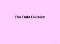 The Data Division