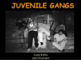 JUVENILE GANGS