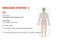 NERVOUS SYSTEM: I