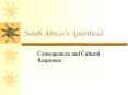 South Africas Apartheid