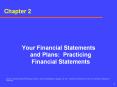 Your Financial Statements and Plans: Practicing Financial Statements