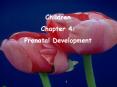 LIFESPAN DEVELOPMENT