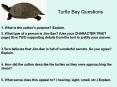 Turtle Bay Questions