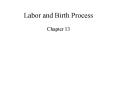 Labor and Birth Process