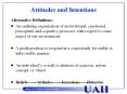 Attitudes and Intentions