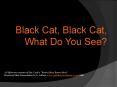 Black Cat, Black Cat, What Do You See