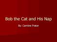 Bob the Cat and His Nap