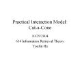 Practical Interaction Model: Cat-a-Cone