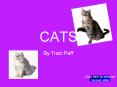 CATS
