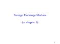 Exchange Rate Determination