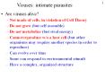 Viruses: intimate parasites