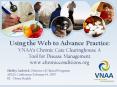 Using the Web to Advance Practice: VNAAs Chronic Care Clearinghouse A Tool for Disease Management ww