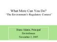 What More Can You Do The Environments Regulatory Context