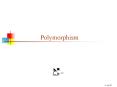 Polymorphism