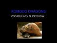 KOMODO DRAGONS. VOCABULARY SLIDESHOW. ARMOR. FIERCE. HARSHE