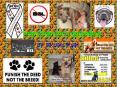 Breed Specific Legislation