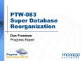 PTW083 Super Database Reorganization
