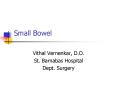 Small Bowel