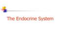 The Endocrine System