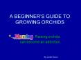 A BEGINNERS GUIDE TO GROWING ORCHIDS