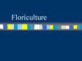 Floriculture