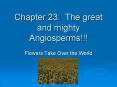 Chapter 23: The great and mighty Angiosperms