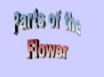Parts of the