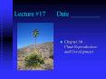 Lecture