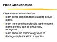 Plant Classification