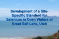 Development of a SiteSpecific Standard for Selenium in Open Waters of Great Salt Lake, Utah