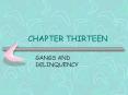 CHAPTER THIRTEEN