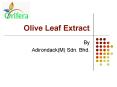 Olive Leaf Extract