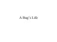 A Bugs Life