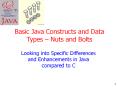 Basic Java Constructs and Data Types Nuts and Bolts