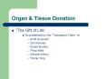 Organ