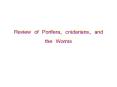 Review of Porifera, cnidarians, and the Worms