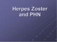 Herpes Zoster and PHN