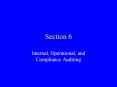 Internal, Operational, and Compliance Auditing