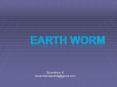 EARTH WORM