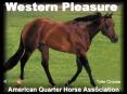 Western Pleasure