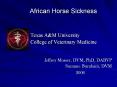 African Horse Sickness