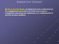 Business Level Strategies