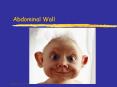 Abdominal Wall